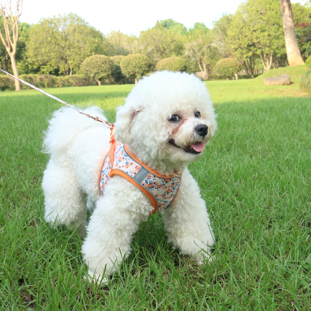 Small Dog Harness Leash Set Cute Traction Bracelet Medium Cat Collar Suit Soft Puppy Vest Harness Adjustable Pet Accessories