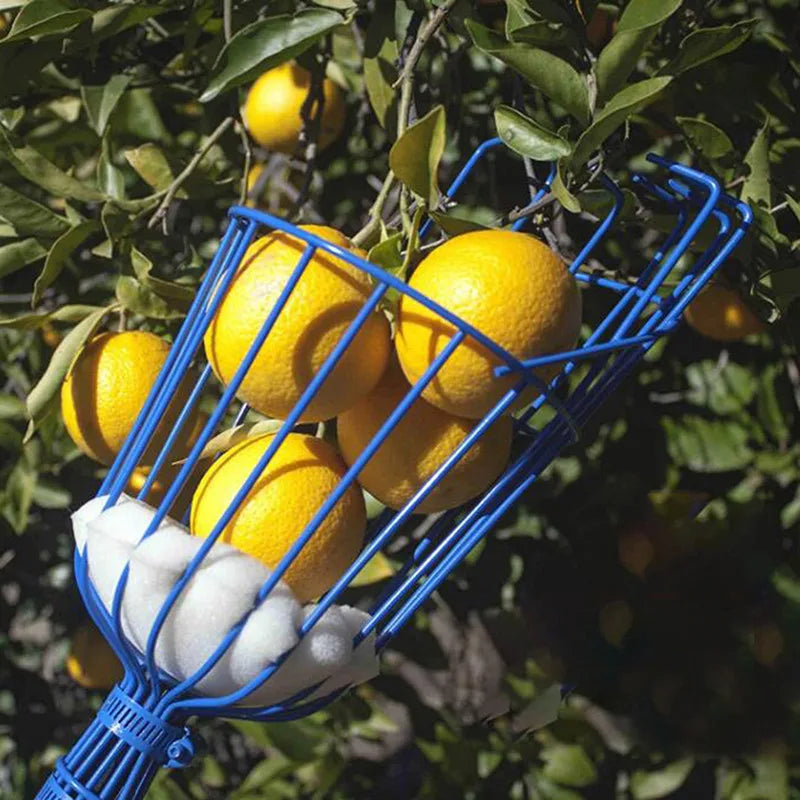 Fruit Picking Machine – Practical Handheld Fruit Catcher & Collection Device | Gardening Tool