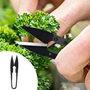 Bonsai Tools Kit- 24 PCS Bonsai Tree Kit Tools for Beginners,  Complete Set for Bonsai Tree Care, Pruning, and Shaping