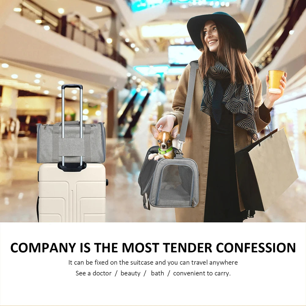 Soft-Side Dog Carrier Bag & Backpack – Airline Approved Pet Travel Bag for Small Dogs & Cats | M & L (Black, Gray)