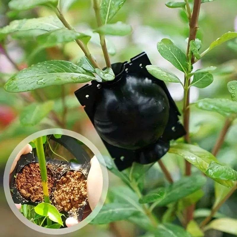Garden Orchard Plants Grafting Rooting Box Reusable Cutting Garden Rooting Clone Propagation Ball Breeding Equipment for Sapling