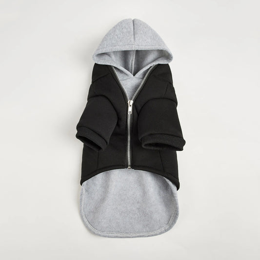 Fashion Dog Hoodie Coat - Warm Winter Clothes for Small and Medium Dogs - photo 6