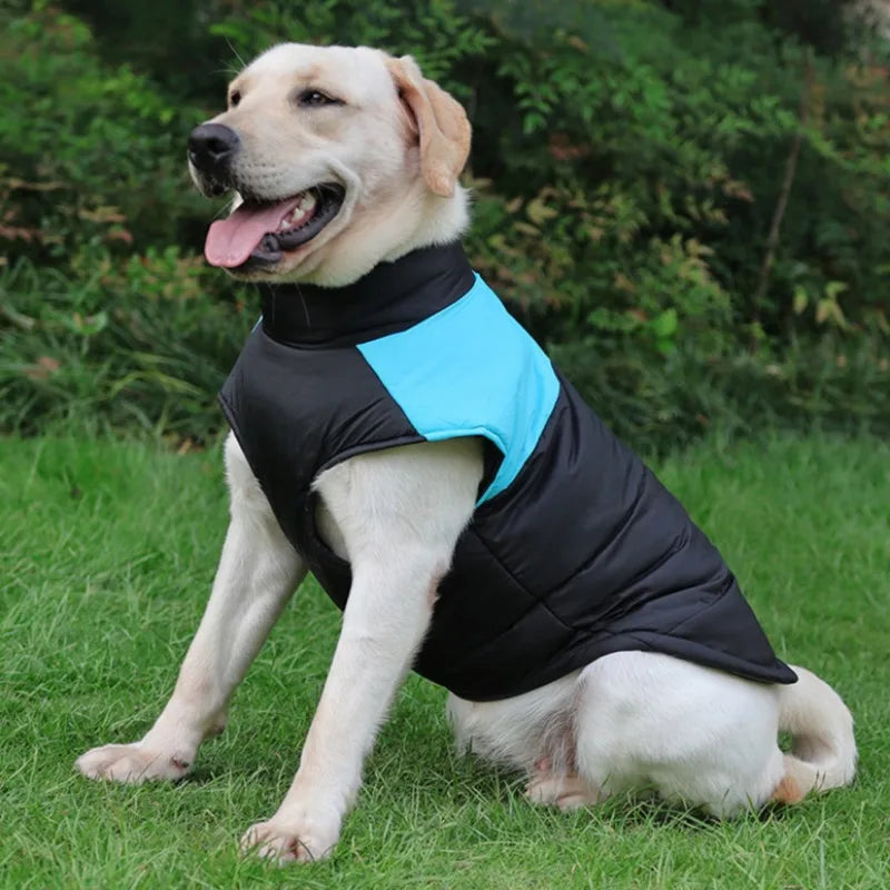 Winter Pet Clothes Warm Big Dog Coat Puppy Clothing Waterproof Pet Vest Jacket For Small Medium Large Dogs Golden Retriever
