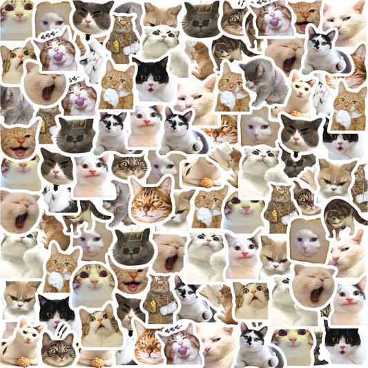 Cat Stickers for Laptop, Luggage & Skateboard, 46-Pack