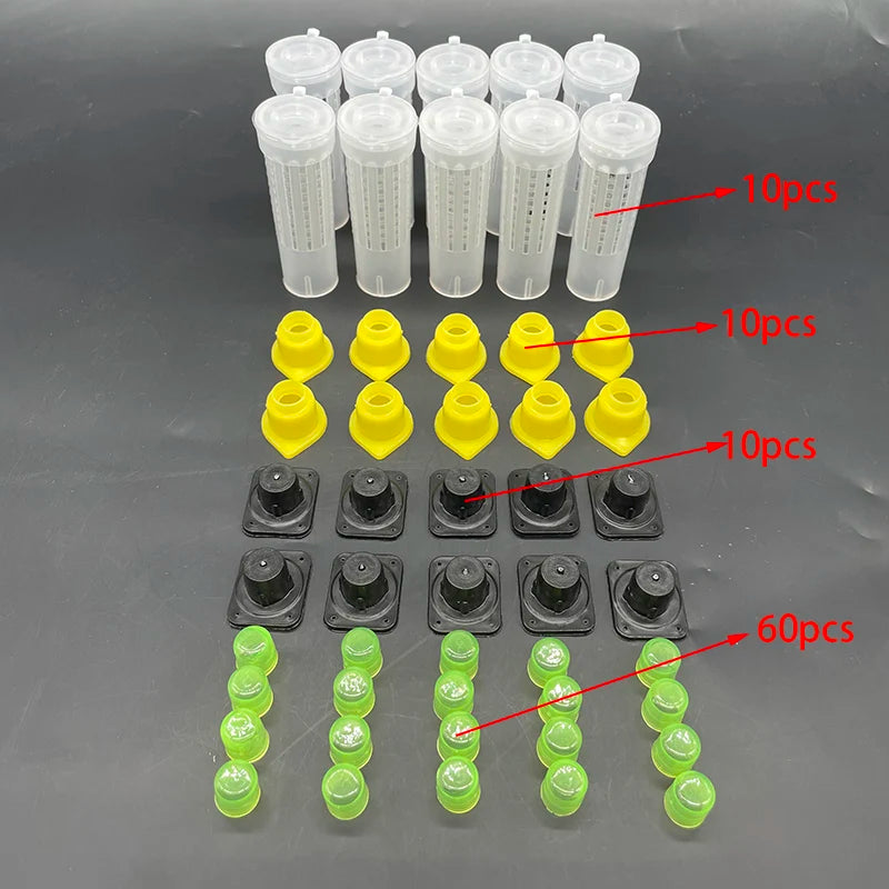 1 Set Bees Tools Cages King Queen Rearing Cupkit System Bee Beekeeping Catcher Box Cell Cups Cage Nicot Complete Kit