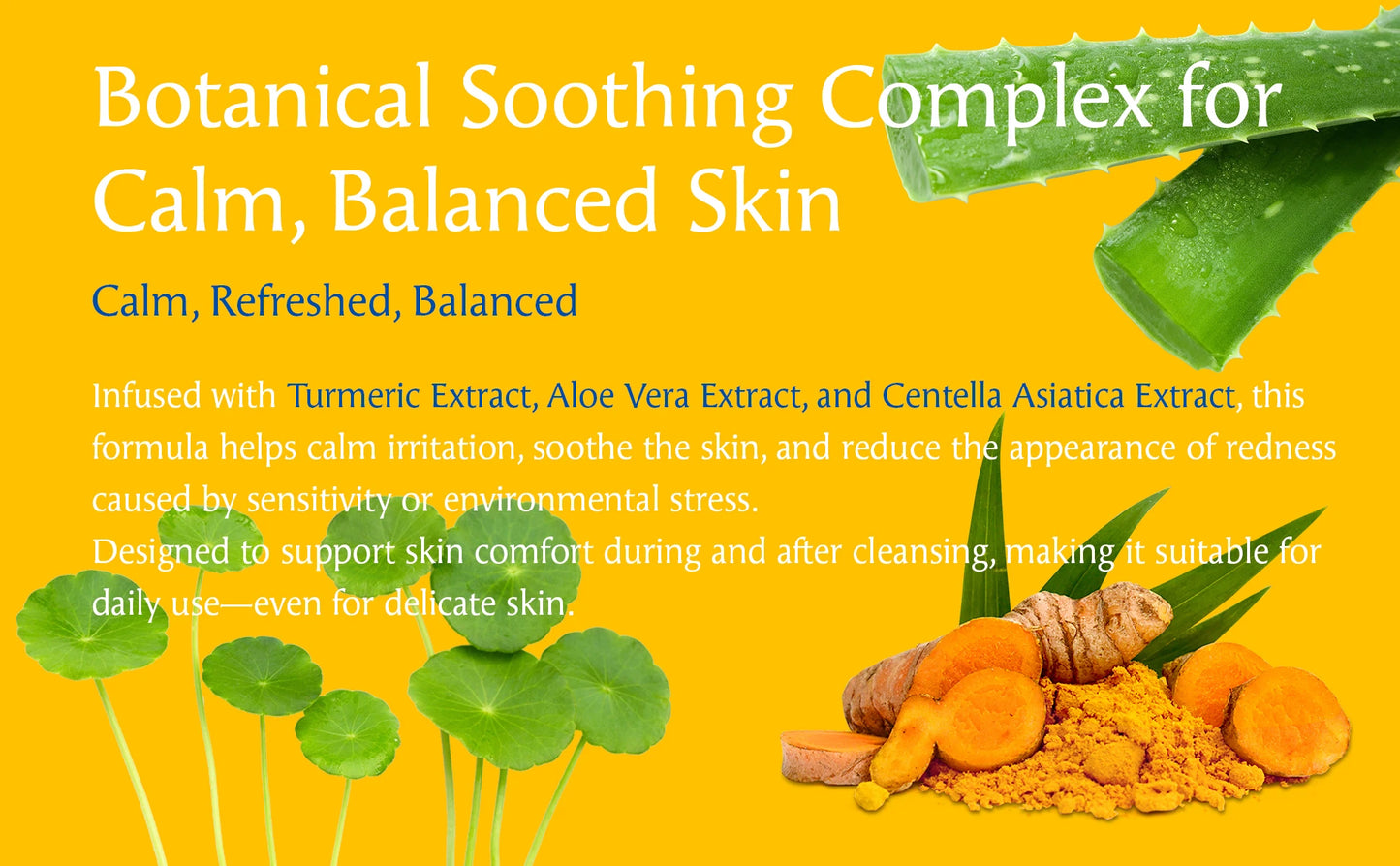 Turmeric Kojic Acid Amino Acids Foam Cleanser – Gentle Cleansing, Face & Body Brightening, for Dark Spots, Uneven Skin Tone