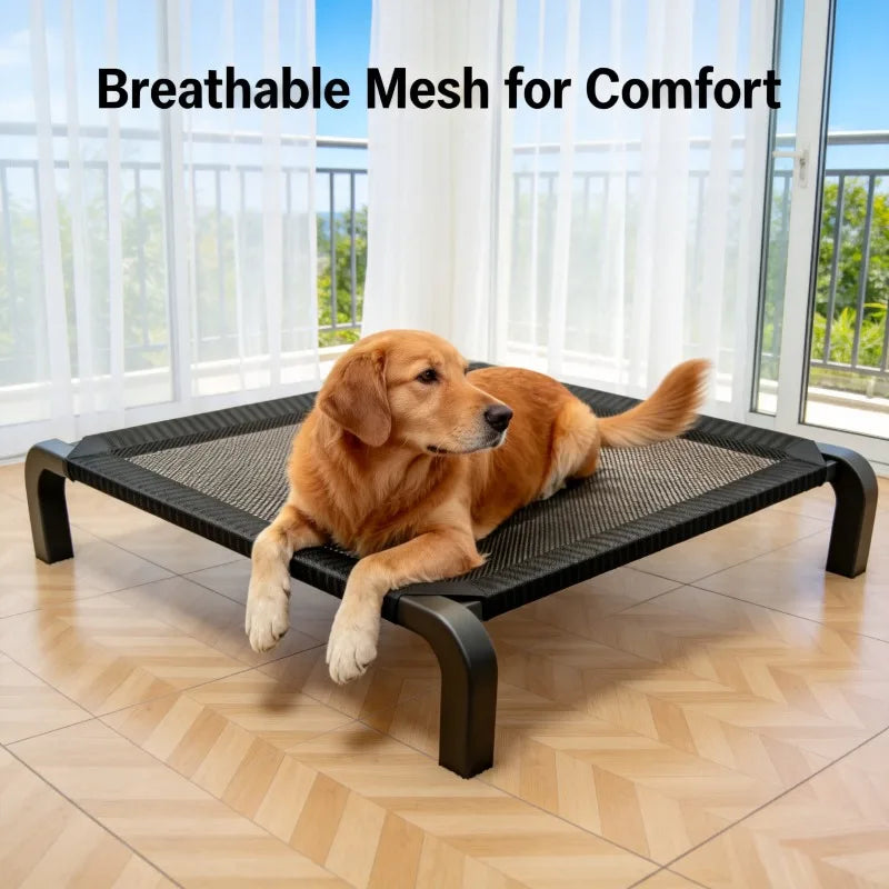 Foldable Raised Dog Cot - All Season Camp Bed for Large Dogs