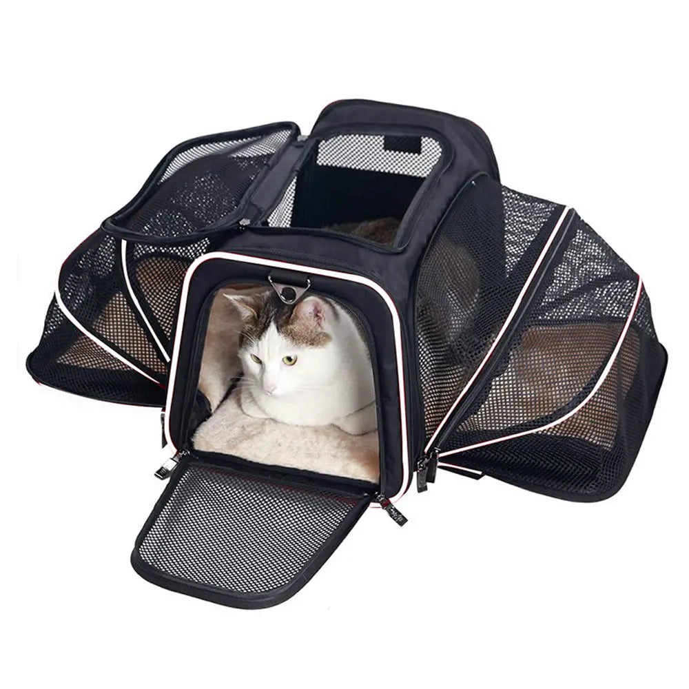 Foldable Pet Carrier Bag - Safety Zip Travel Carrier – photo 9