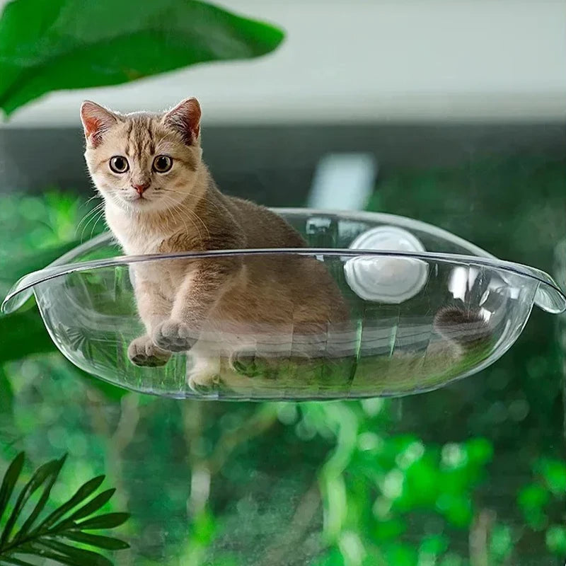 Cat Window Hammock Bed - Hanging Balcony Perch for Kittens – photo 6