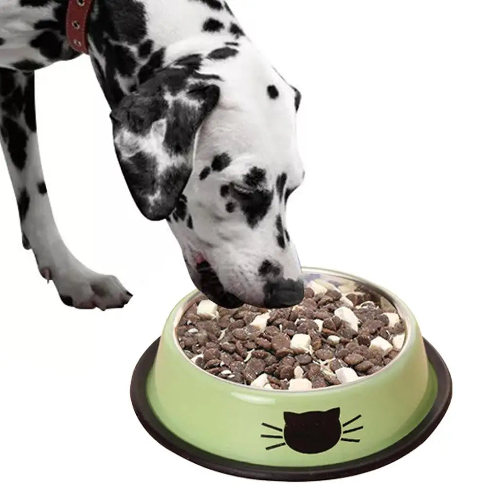 Insulated Stainless Steel Cat Bowl - Double Wall, Non-Slip – photo 2