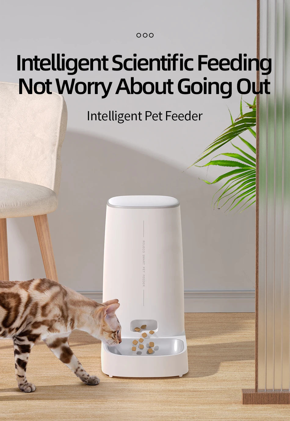 ROJECO Smart WiFi Automatic Cat Feeder – 4L Remote Control Kibble Dispenser for Cats & Dogs | Single & Dual Bowl