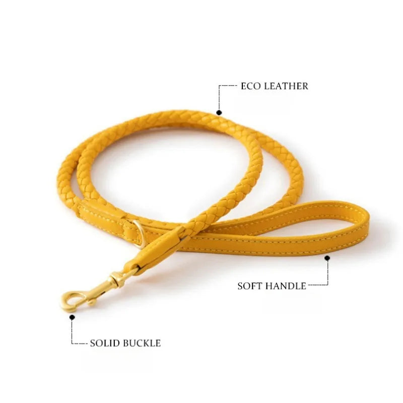 Braided Dog Leash & Collar - Adjustable Walking Rope for Small Dogs - photo 3