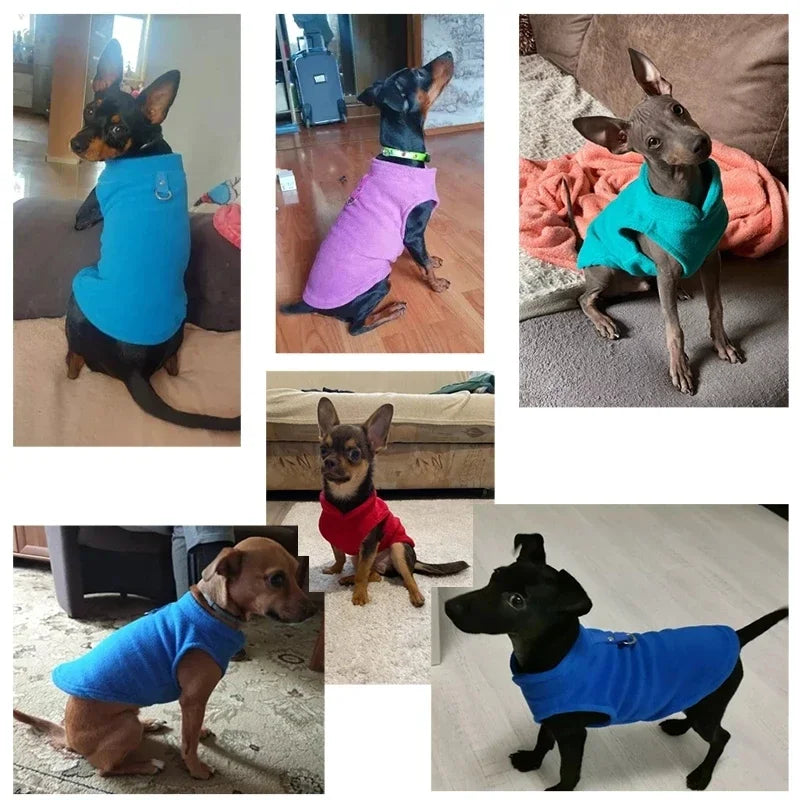 Fleece Dog Vest Jacket with D-Ring - Warm Coat for Small Dogs - photo 5