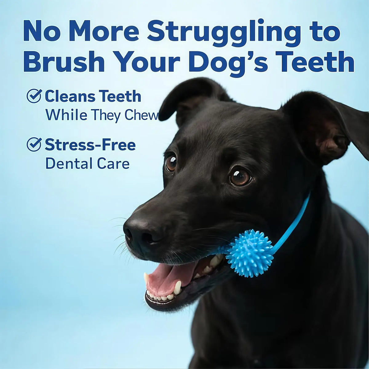 Double-Action Rubber Dog Chew - Teeth Cleaning Toy – photo 4