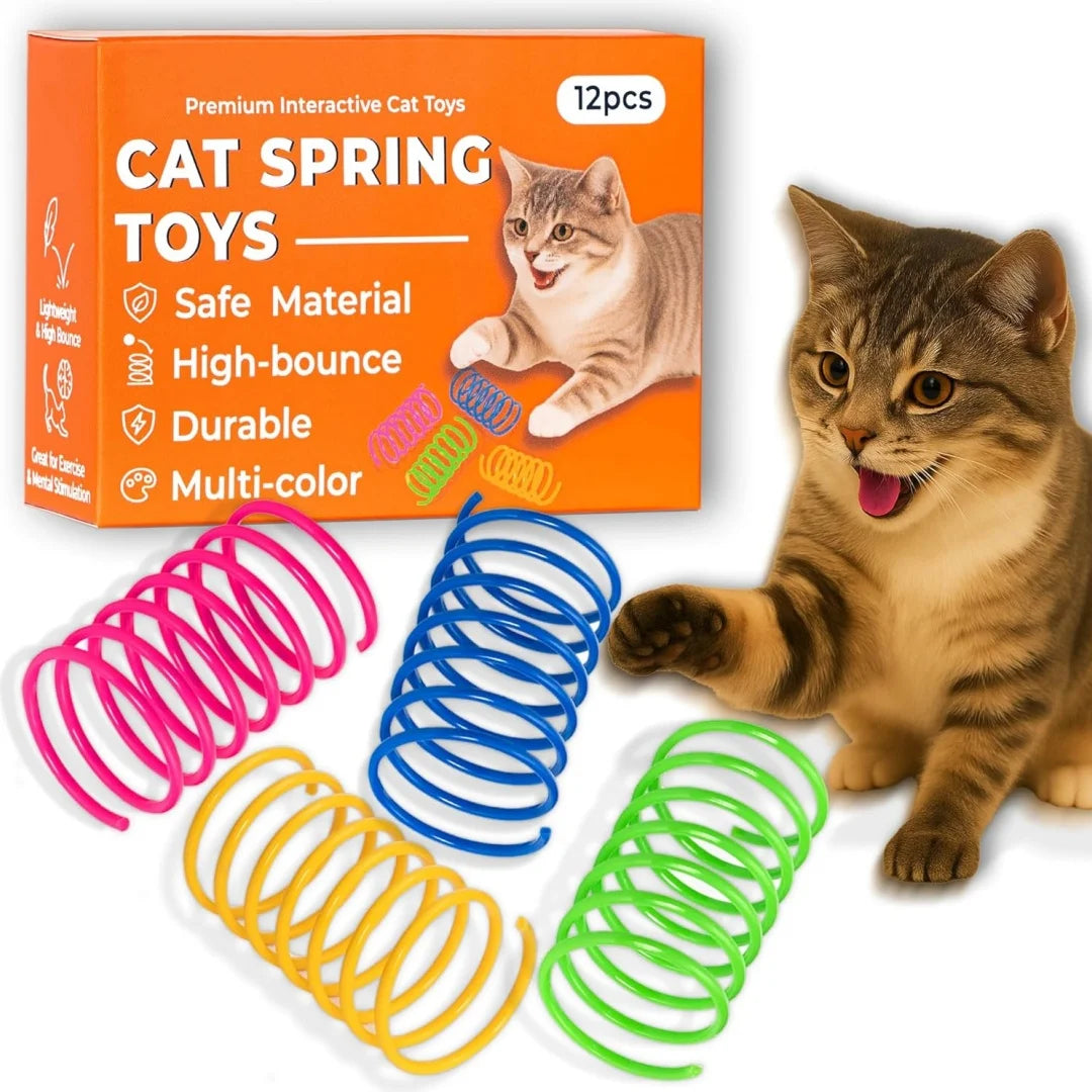 24-Piece Plastic Spiral Spring Cat Toy Set