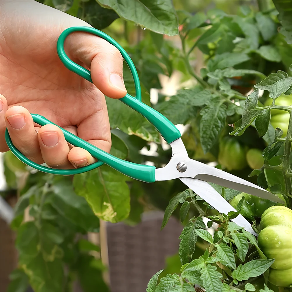 1/3PCS，Gardening Shears Flower Branch Scissors Stainless Steel Branch Scissor Flowers Shop Scissors Pruning Tool Garden Scissors