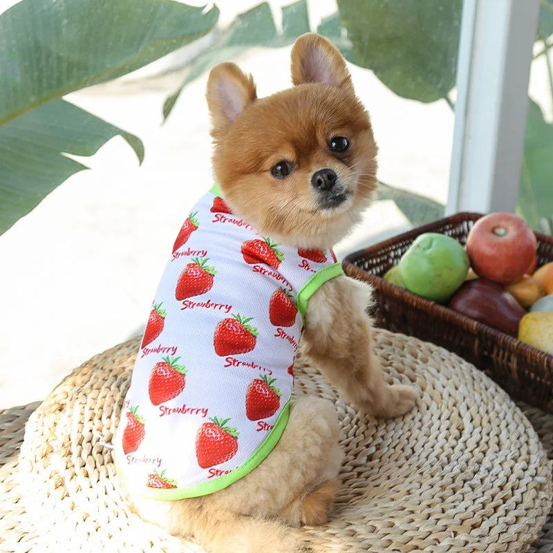 Dog & Cat Cotton Clothes — Cartoon Print Vest for Puppies & Kittens