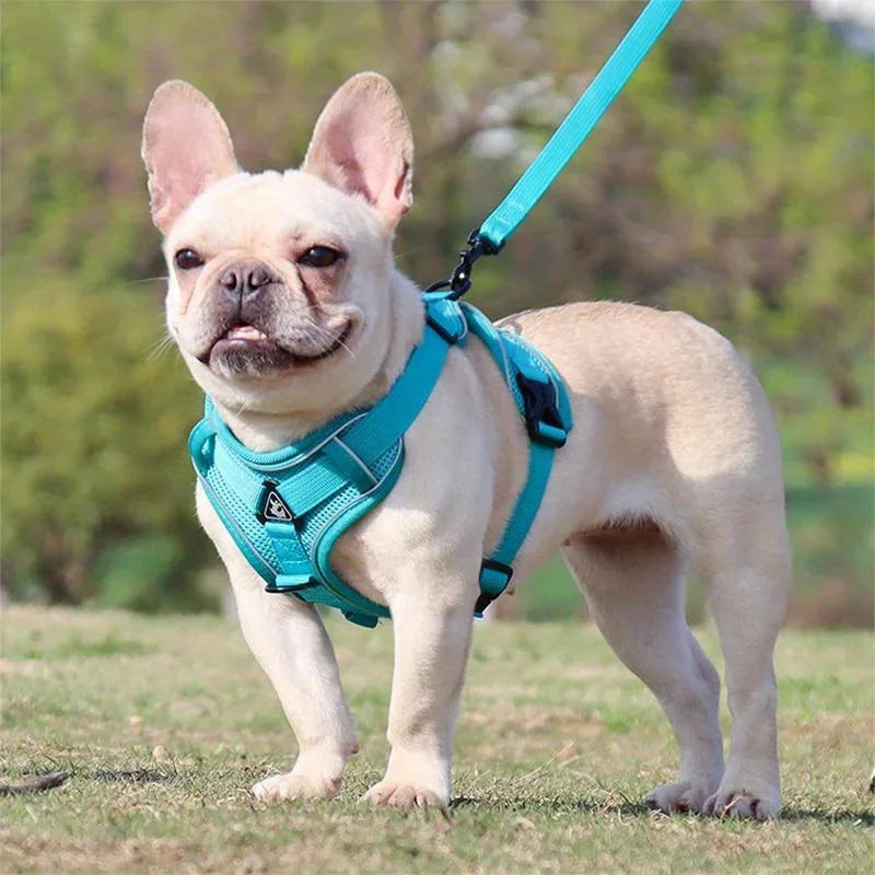 No Pull Dog Harness and Leash Set Adjustable Pet Harness Vest for Small Dogs Cats Reflective Dog Chest Strap Lead Walking