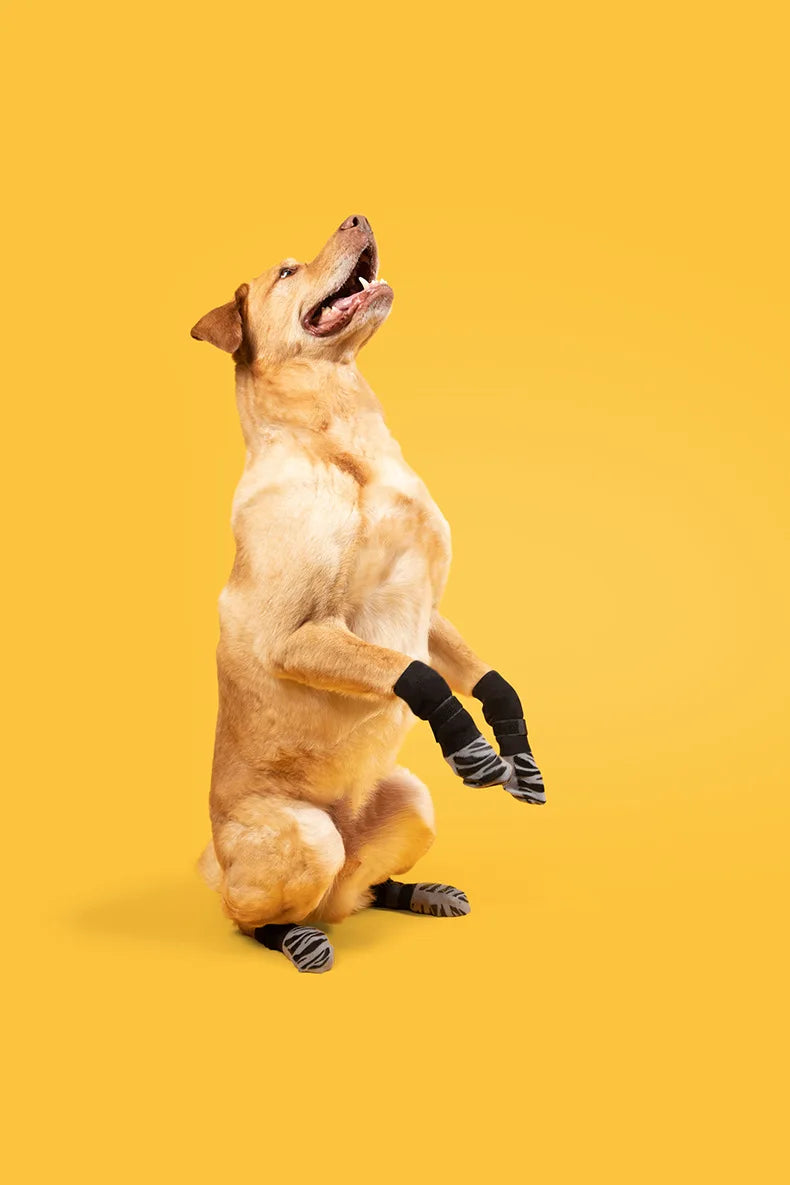 Anti-Slip Pet Dog Socks Paw Protector Traction Control Adjustable Indoor Wear Knitted Pet Socks Machine Washable 4pcs/pack