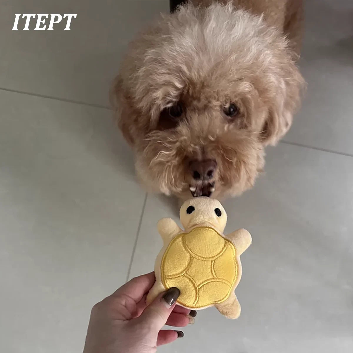 Mini Turtle Plush Chew Toy for Puppies – photo 2