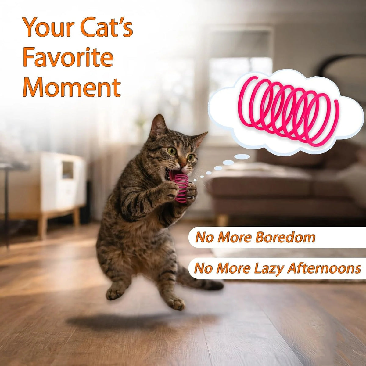 24-Piece Plastic Spiral Spring Cat Toy Set – photo 6