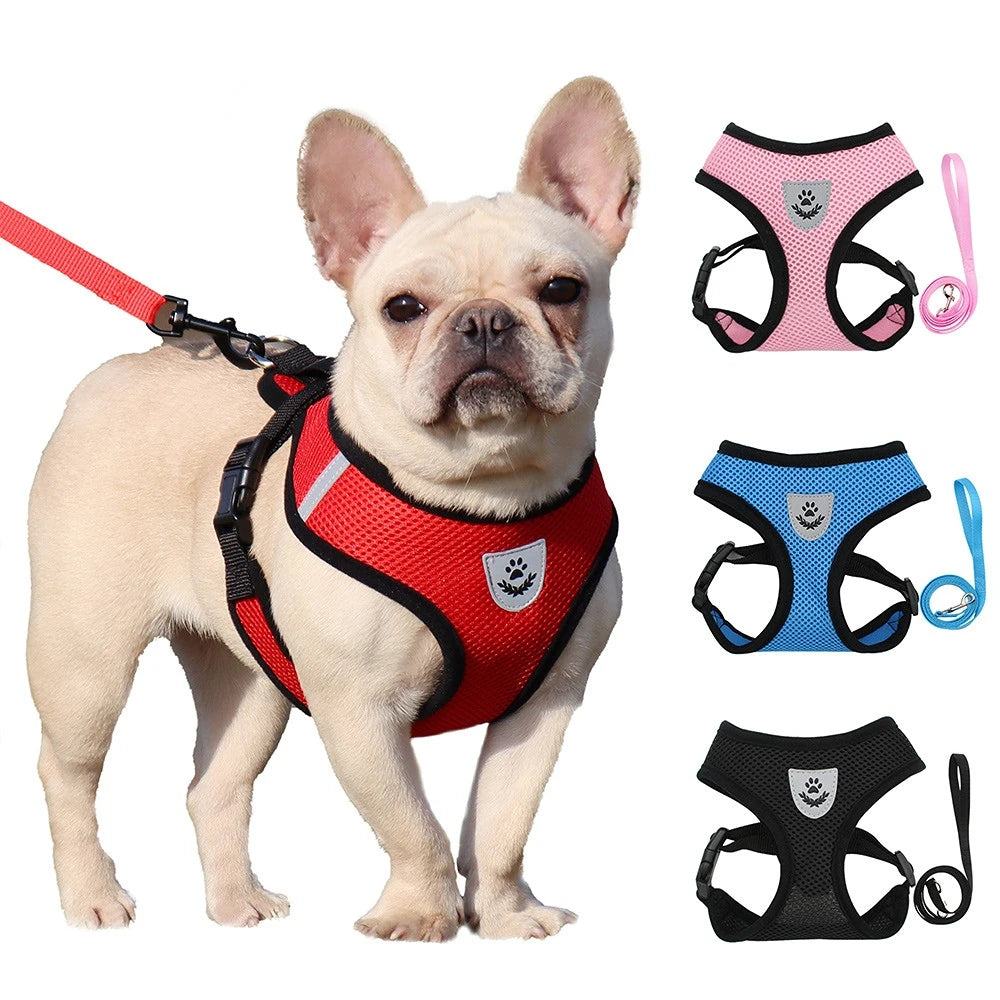Adjustable Mesh Harness and Leash for Small Dogs and Cats, Reflective