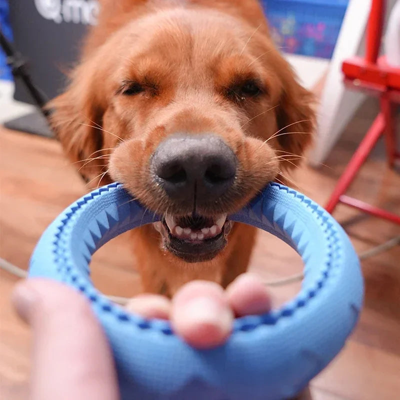 Floating Dog Ring Toy - Fetch & Chew Flying Ring for All Sizes - photo 6