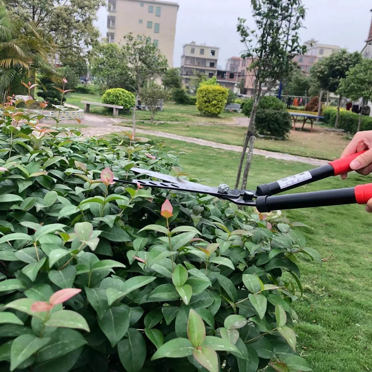 Professional Garden Hedge Lopper — Long-Reach Bypass Pruner