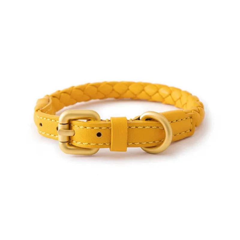 Braided Dog Leash & Collar - Adjustable Walking Rope for Small Dogs - photo 6