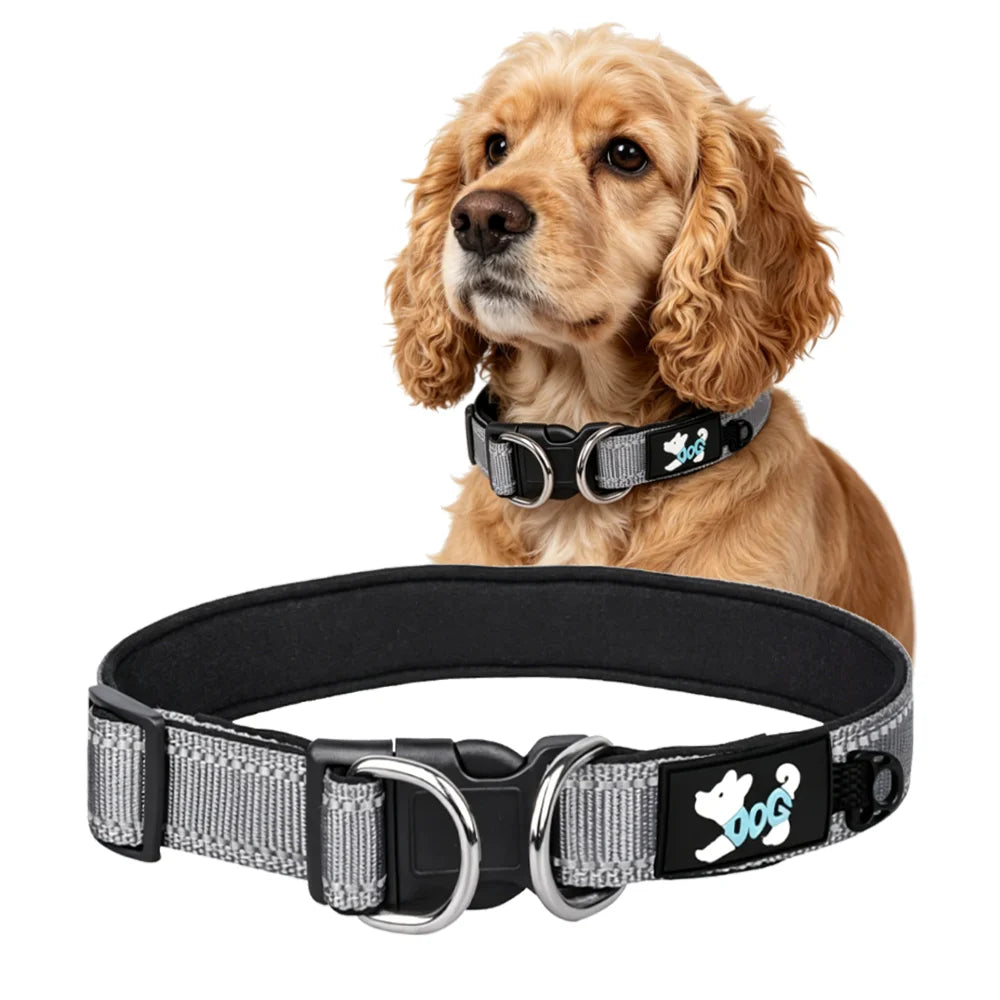 Reflective Harness-Style Collar - Double D-Ring, Lined