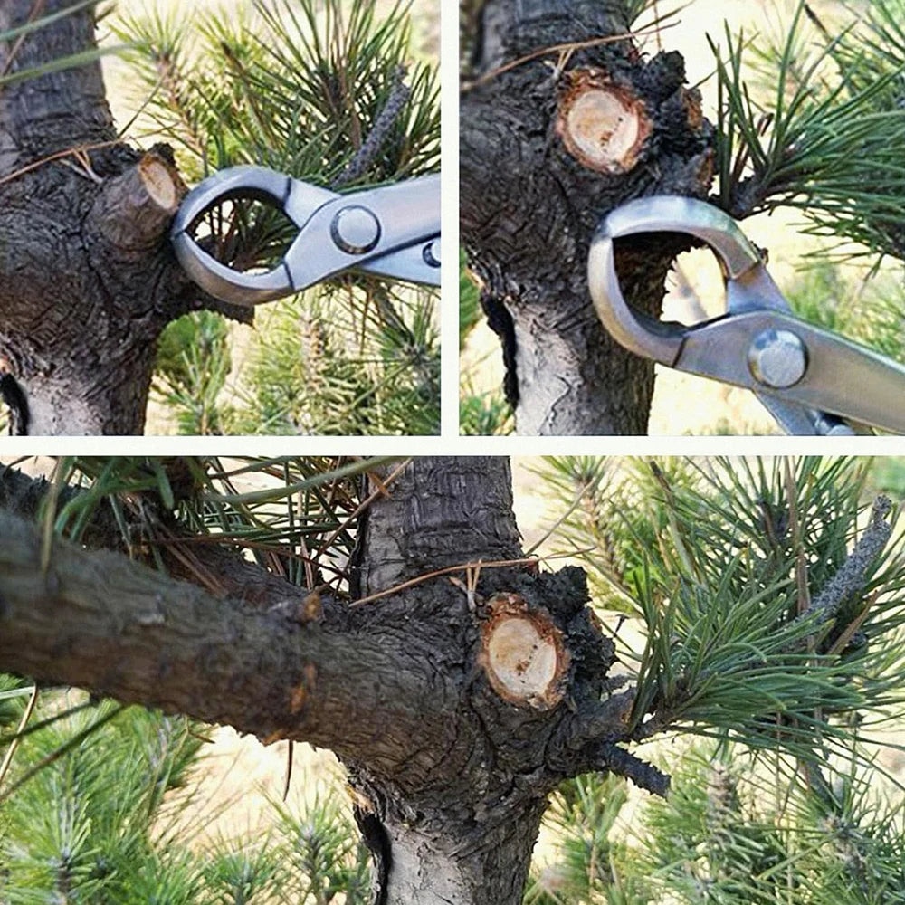 Three models of bonsai shears are available, including stainless steel thick branch shears, sharp horticultural shears, bonsai t