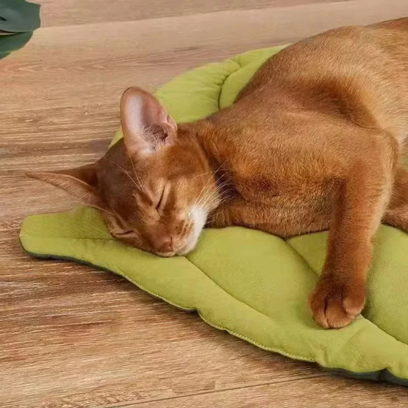 Leaf Shaped Pet Bed Mat - Soft Double Sided Cat & Small Dog Pad - photo 5