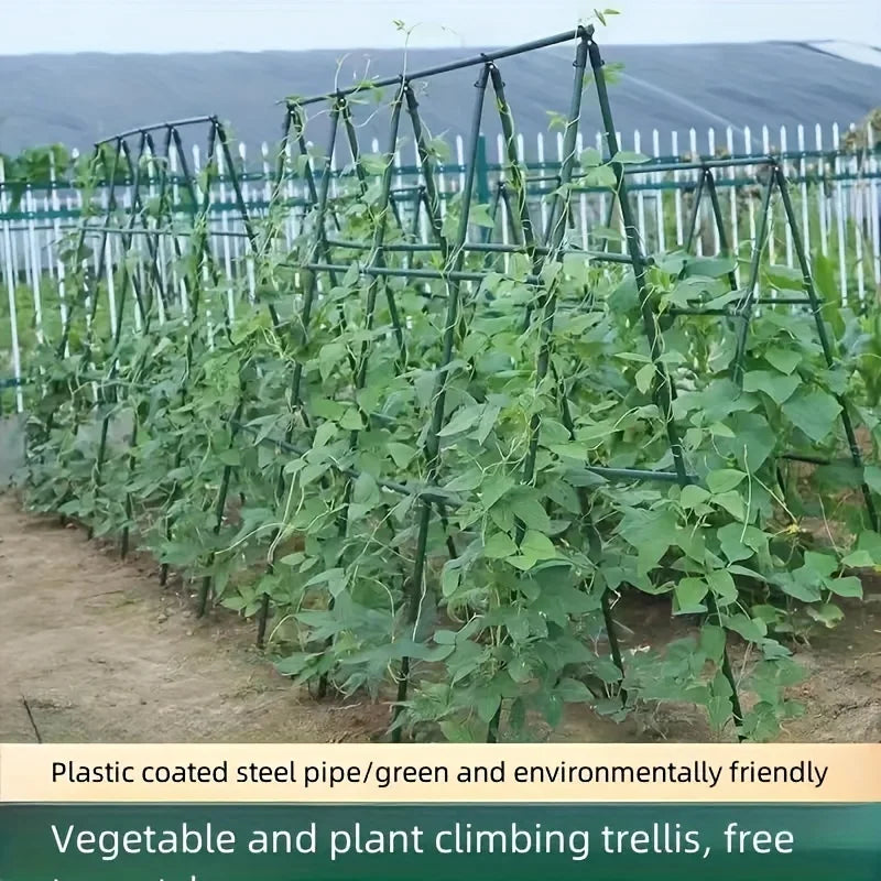 20-Piece Garden Stakes – Durable Plant Support for Tomatoes, Cucumbers, Vines & Grapes