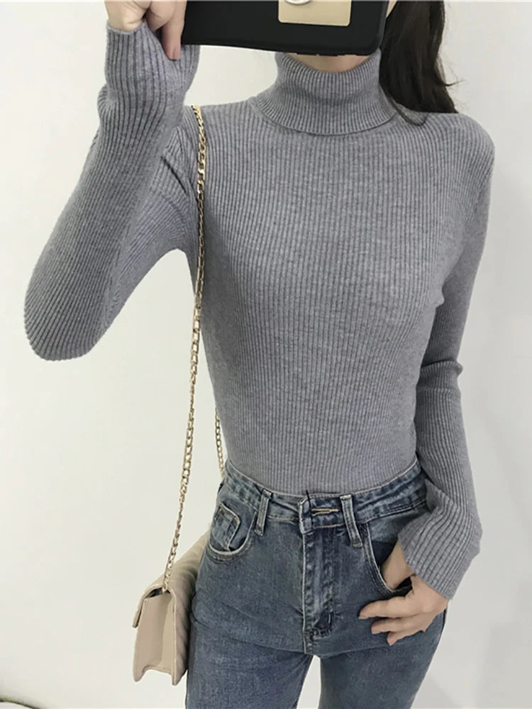 Women's Ribbed Turtleneck Sweater — Thick Knit Jumper