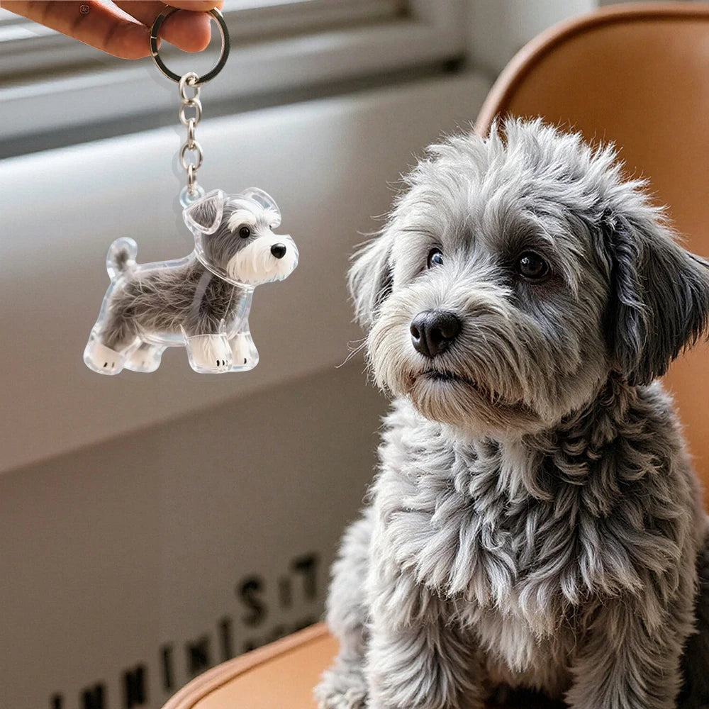 Transparent Pet Fur Keepsake Capsule Cartoon Dog Hair Storage Keychain DIY Hair Storage Decoration Backpack Pendant For Pet Love