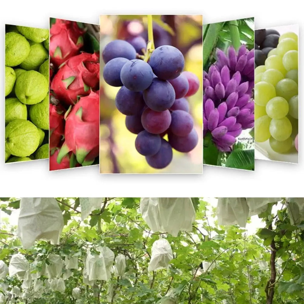 50Pc Fruit Protection Bags — Drawstring Mesh Tree Netting Covers
