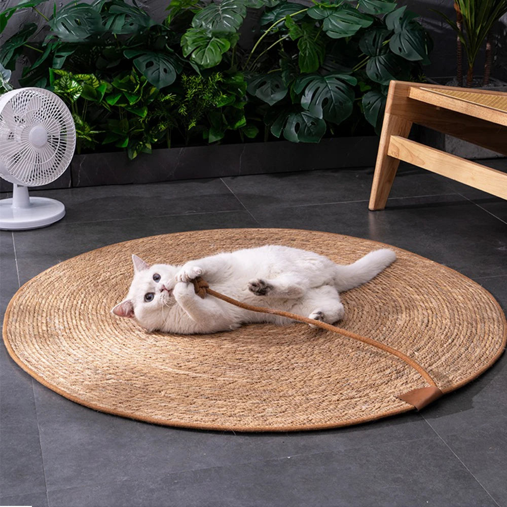 Rattan Scratching Mat for Cats - Woven Vine Claw Board – photo 6
