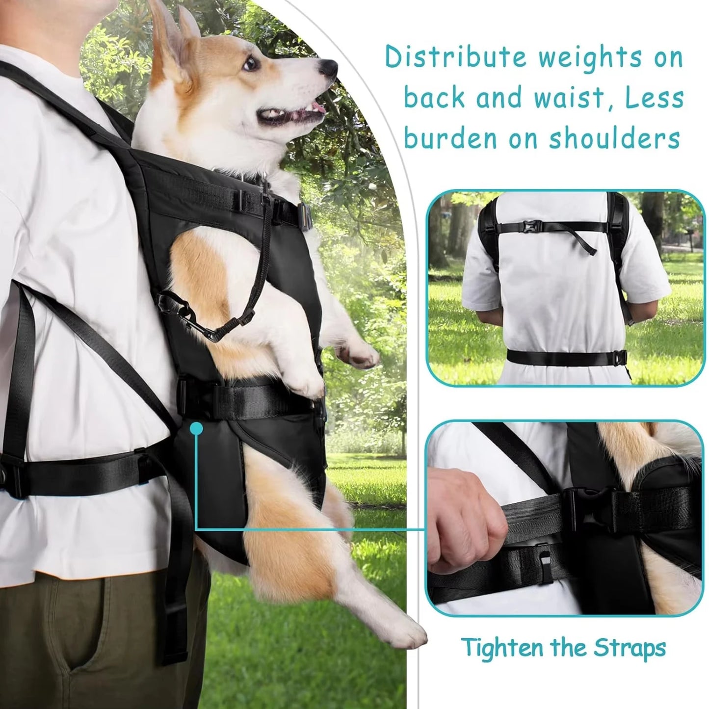 Hands-Free Dog Carrier Backpack – Thickened Sponge Front Pet Carrier | Adjustable Outdoor Backpack | S–XL (Black)