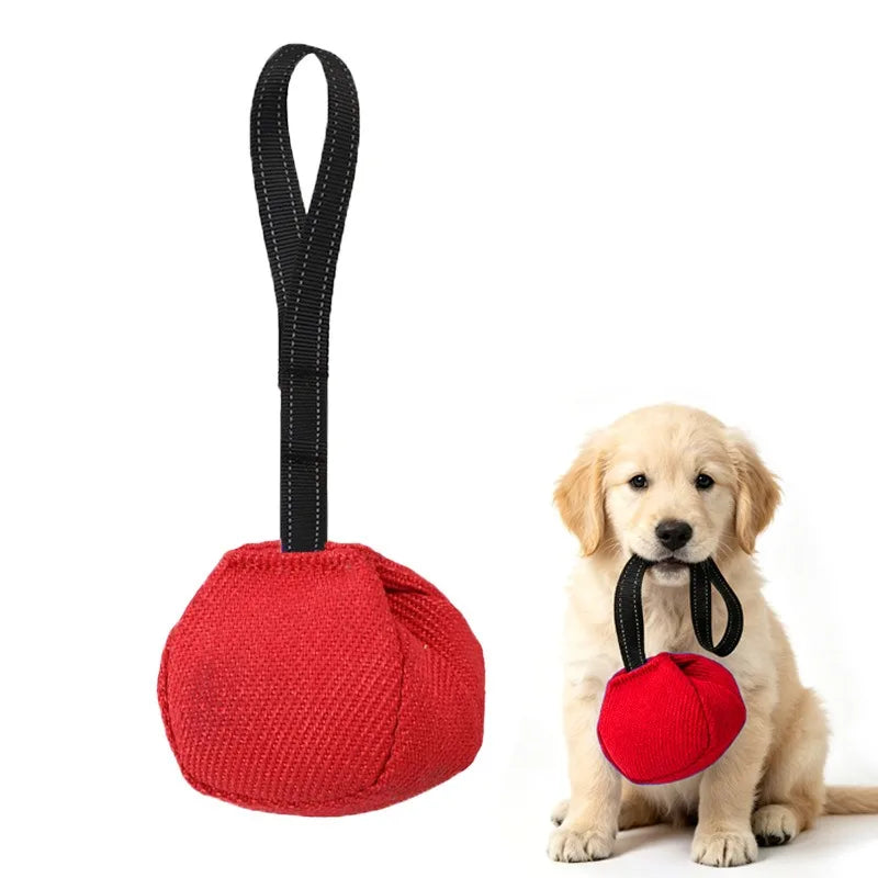 Outdoor Tug-of-War Dog Toy - Bite-Resistant Pull Toy