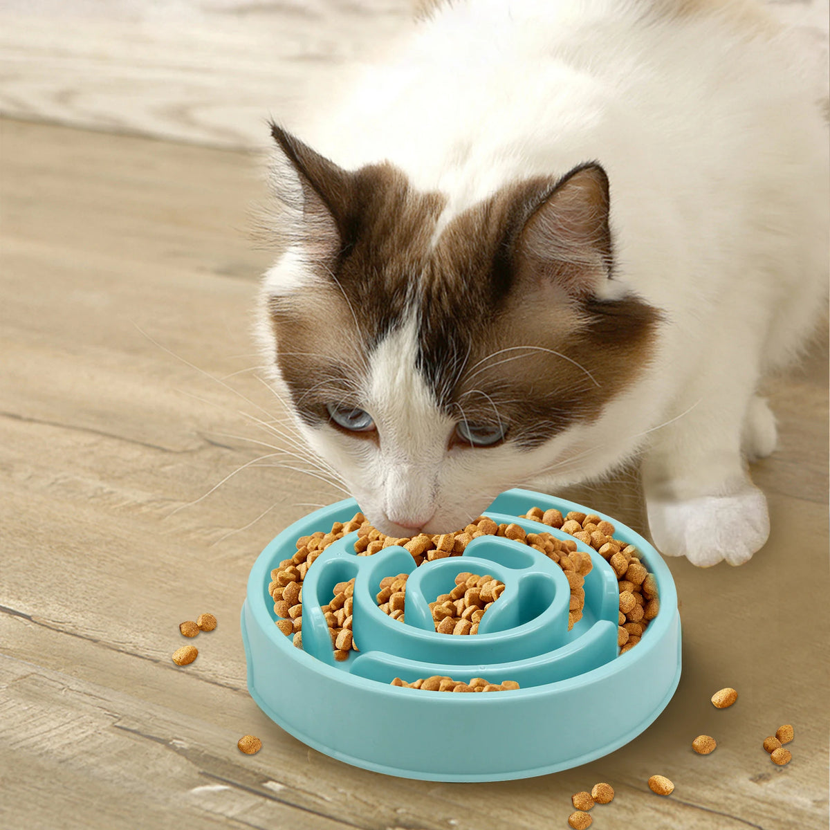 Macaron Color Slow Feeder Bowl - Maze or Circle Pattern for Pets - photo 6