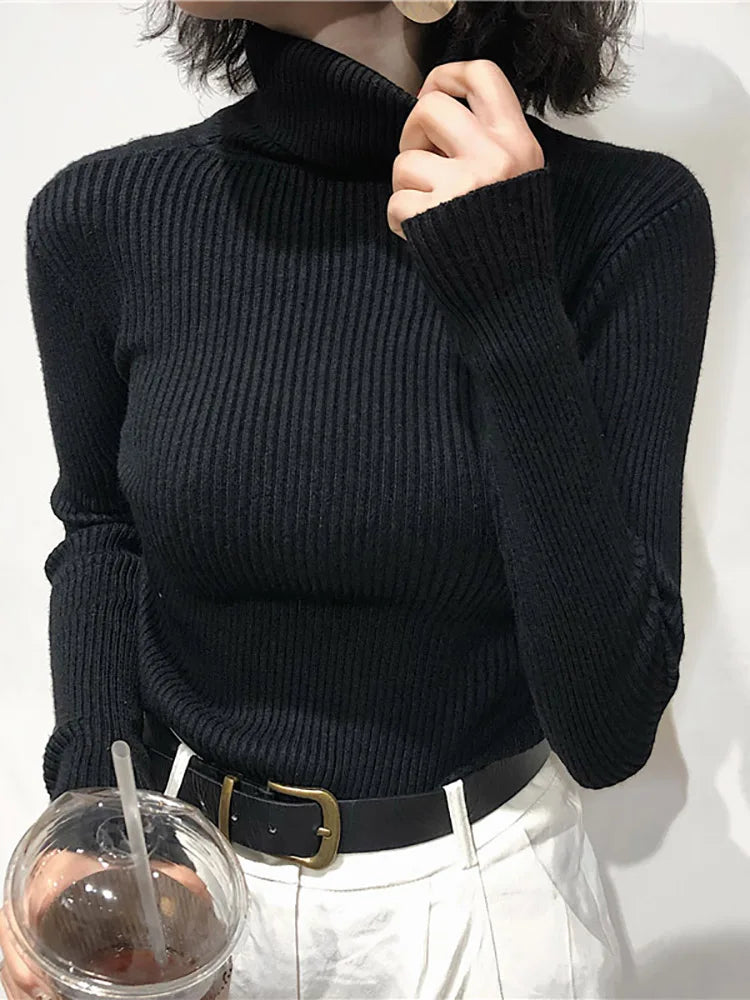 Women's Korean Turtleneck Sweater — Slim Knit Jumper
