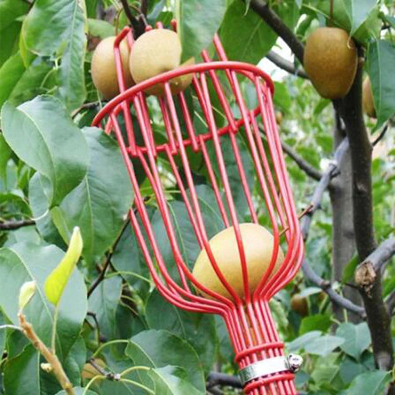 Fruit Picking Machine – Practical Handheld Fruit Catcher & Collection Device | Gardening Tool