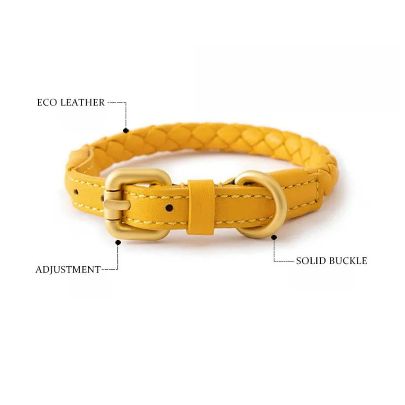 Braided Dog Leash & Collar - Adjustable Walking Rope for Small Dogs - photo 2