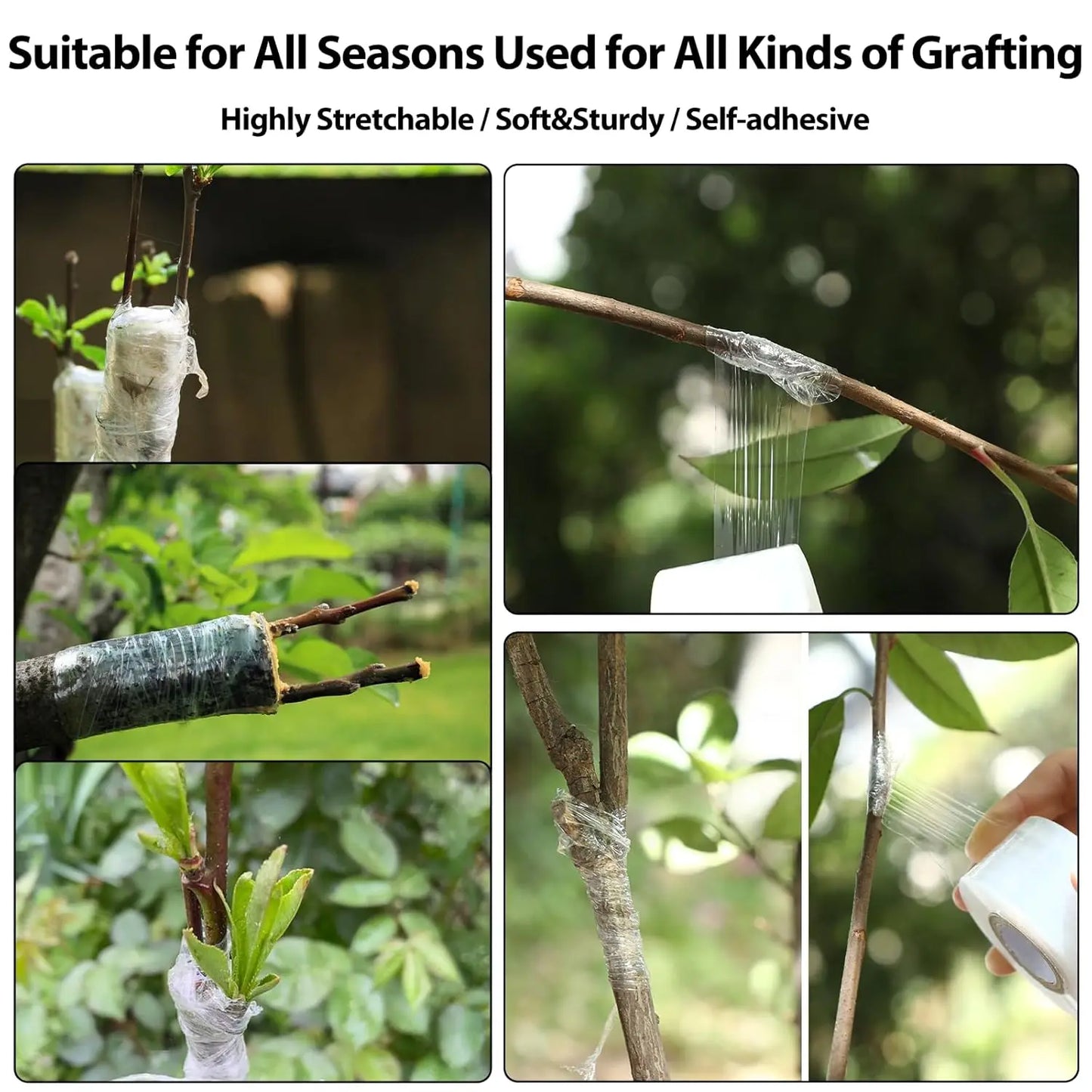 200m Biodegradable Grafting Tape – Eco-Friendly Stretch Graft Binding Film for Plants & Trees