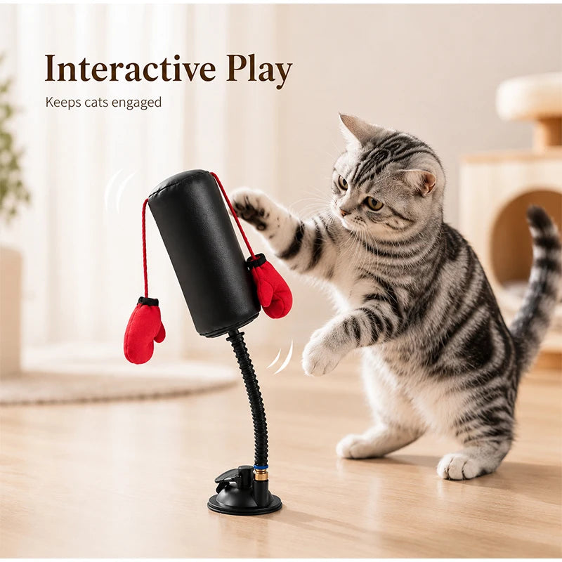 Interactive Cat Boxing Toy Multifunctional Entertainment for Self-Relaxation Fun Exercise Toy for Indoor Cats Kitten Activity