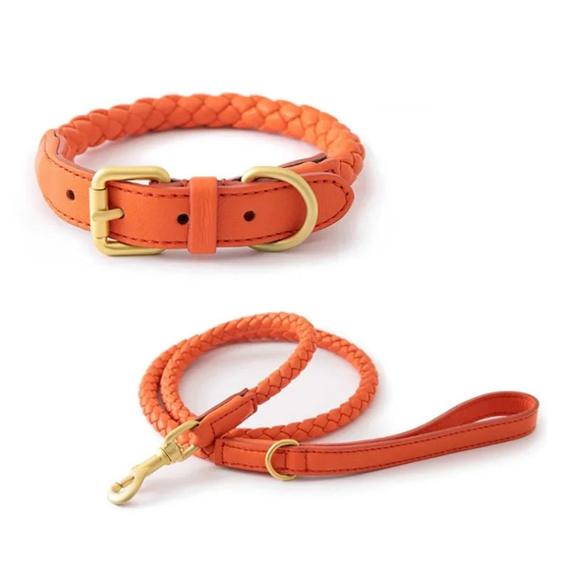 Braided Dog Leash & Collar - Adjustable Walking Rope for Small Dogs - photo 5