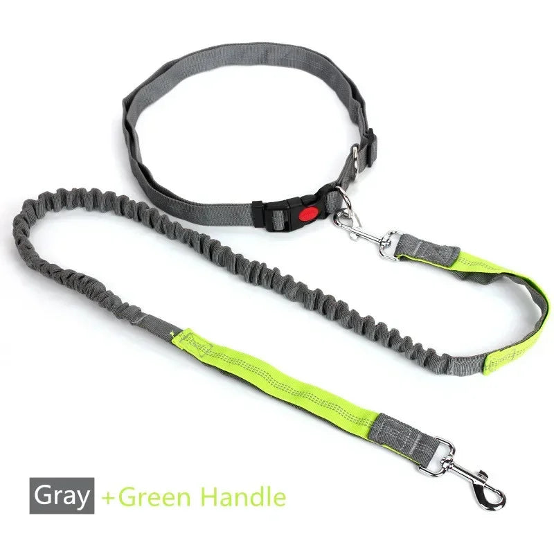 Hands-Free Retractable Dog Leash with Waist Belt – photo 9