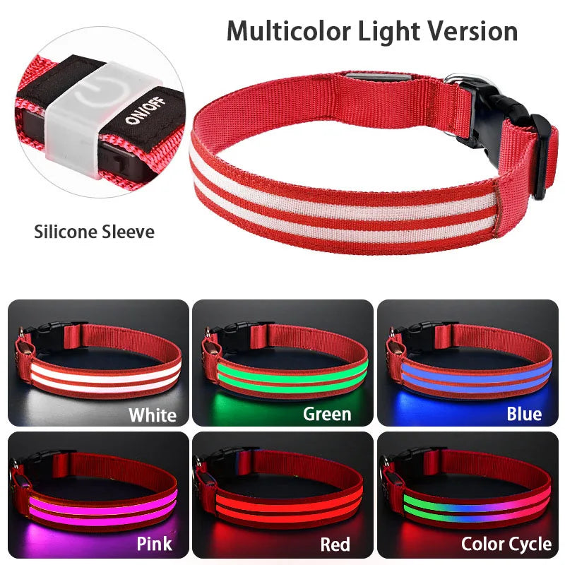 LED Light Up Dog Collar – Rechargeable Glowing Safety Collar for Night Walks | Color LED Pet Necklace with Harness & Leash Ring