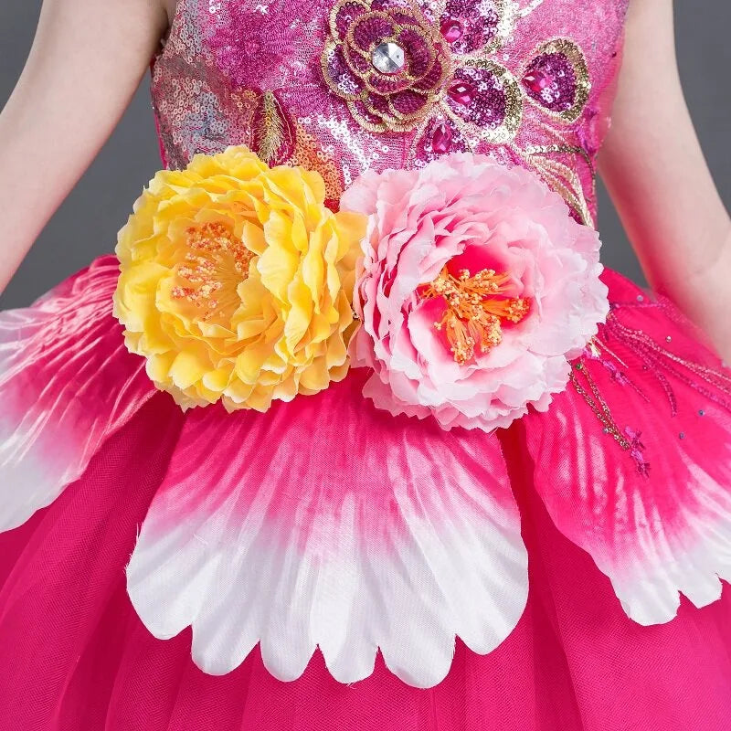 Girls multicolor modern dance dress