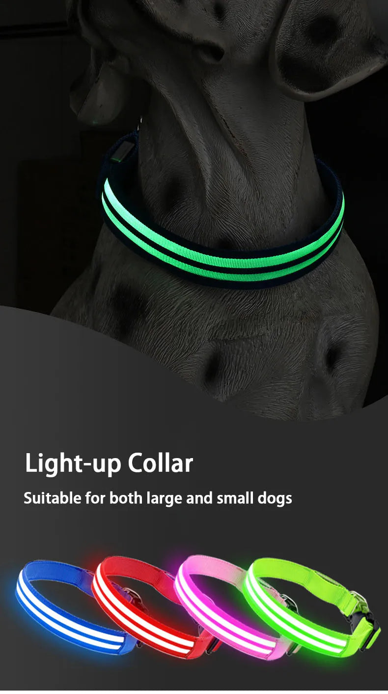 LED Light Up Dog Collar – Rechargeable Glowing Safety Collar for Night Walks | Color LED Pet Necklace with Harness & Leash Ring